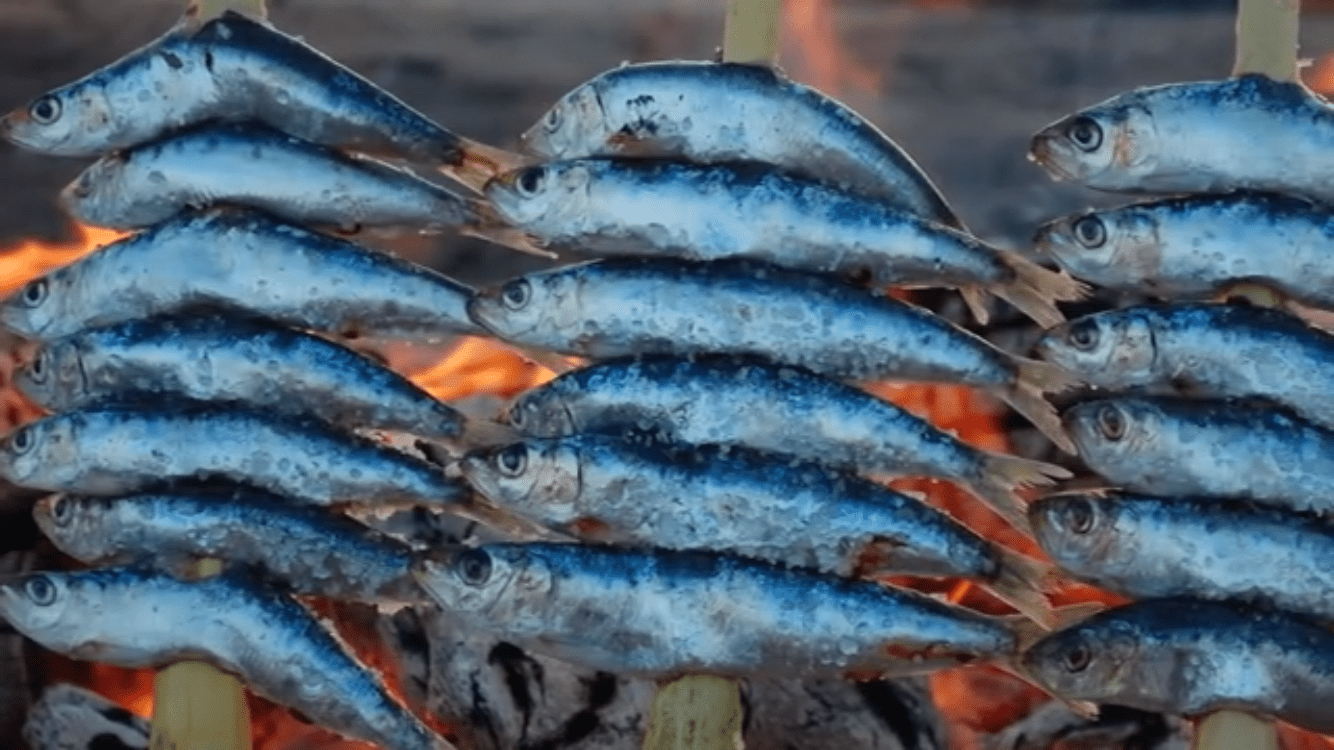 JamSpain Holidays - Travel Agency